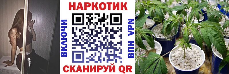 Купить закладку Cocaine  МЕФ  А ПВП  ГАШ  Темников
