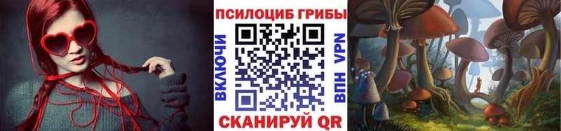 Псилоцибиновые грибы Cubensis  Купить закладки  Темников 